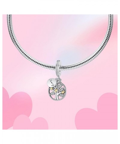 Cute Fashion Love Heart Dangle Charm 925 Sterling Silver Charms fits Bracelets and Necklace Pendant Bead Charms Jewelry Gift ...