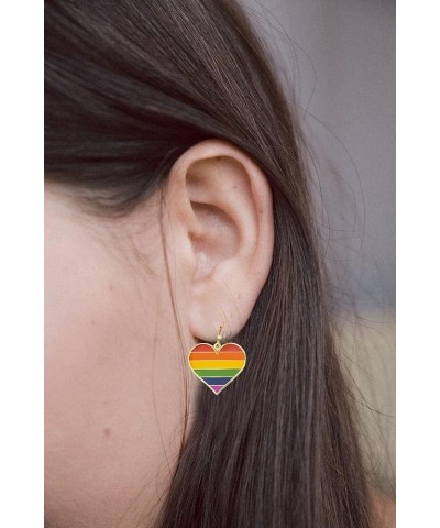 Progress Dangle Earrings Bisexual Rainbow Sun Set Lesbian Pansexual Nonbinary Asexual Gender Fluid Earring Gay and Lesbian LG...