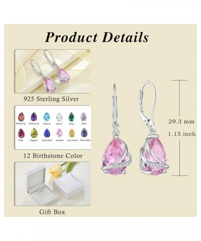 Birthstone Dangle Drop Earrings for Women 925 Sterling Silver Teardrop Leverback Earrings Christmas Birthday Mother's Day Jew...