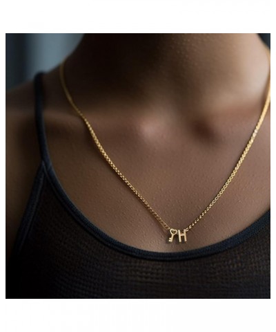 18K Gold Heart Initial Necklace for Women, Stainless Steel Tiny Letter Dainty Key Pendant Necklaces Gift for Girl Gold W $10....