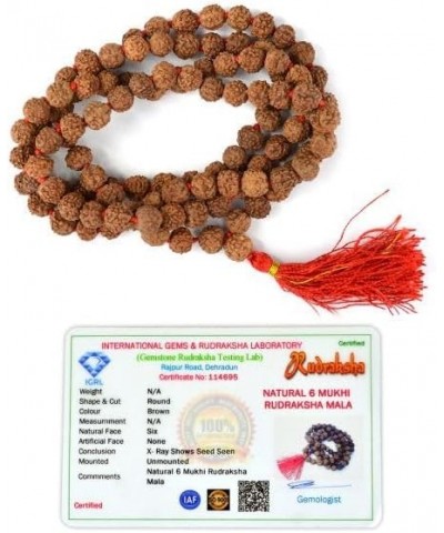 Certified Original Nepali 108+1 Rudraksha Mala for Wearing and Japa Mala 6 Mukhi Rudraksha Mala $13.05 Necklaces