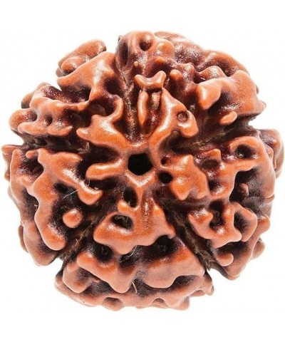 Certified Original Nepali 108+1 Rudraksha Mala for Wearing and Japa Mala 6 Mukhi Rudraksha Mala $13.05 Necklaces