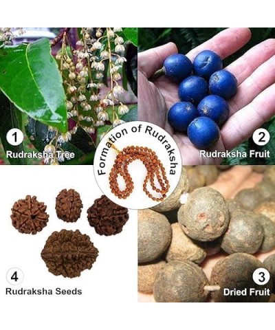 Certified Original Nepali 108+1 Rudraksha Mala for Wearing and Japa Mala 6 Mukhi Rudraksha Mala $13.05 Necklaces