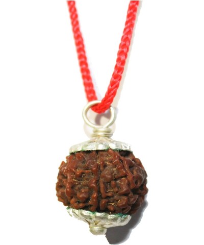 IndianStore4All Genuine Certified Himalayan 7 Face (Mukhi) Rudraksha Seeds (Beads) Tibetan Meditation Beads Prayer Charm Ster...